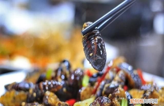 辽宁的4大美食,很多人都没见过,你吃过几道菜