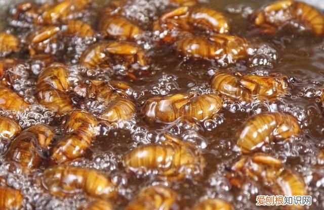 辽宁的4大美食,很多人都没见过,你吃过几道菜