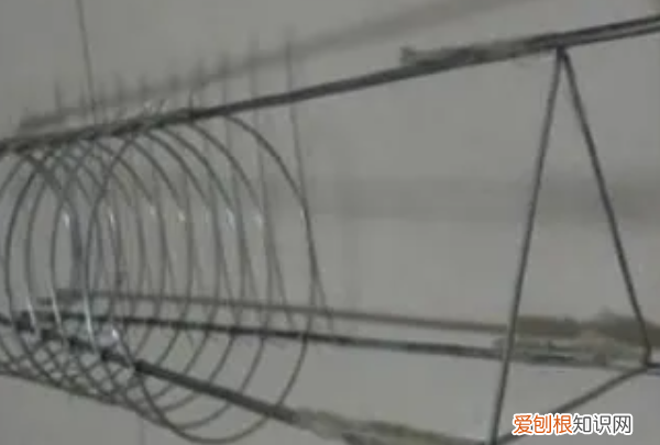 球兰花怎样搭架子好看,怎么在花盆里搭架子方便之物攀爬