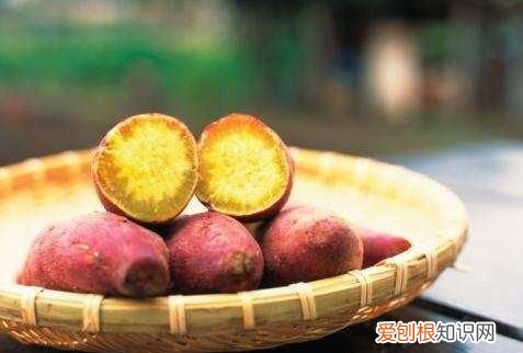 红薯和什么搭配 吃了对身体更好