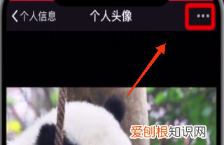 如何查看用过的微信头像照片，微信用过的头像可以全部找回吗