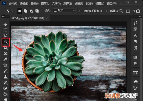 ps如何抠图不要背景，ps怎么把图抠出来不要背景
