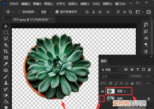 ps如何抠图不要背景，ps怎么把图抠出来不要背景