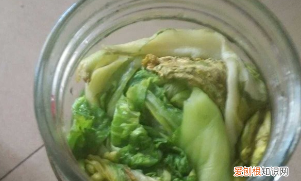 开水烫菜怎么做成酸菜,用开水烫过的萝卜菜怎么保存