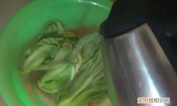 开水烫菜怎么做成酸菜，用开水烫过的萝卜菜怎么保存
