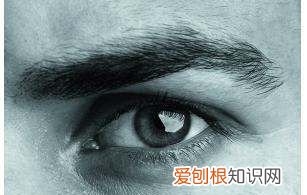 男生如何修眉毛,男生修眉怎么修好看