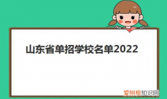 山东单招院校有哪些2023，山东单招学校有哪些大学