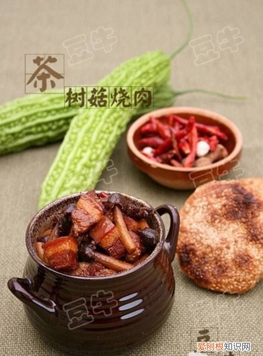 茶树菇烧肉怎么做，茶树菇烧肉的做法肉的做法