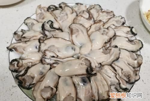 蒜蓉粉丝生蚝做法教程，正宗生蚝粉丝蒜蓉蒸几分钟