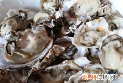 蒜蓉粉丝生蚝做法教程,正宗生蚝粉丝蒜蓉蒸几分钟