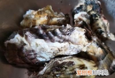 蒜蓉粉丝生蚝做法教程,正宗生蚝粉丝蒜蓉蒸几分钟