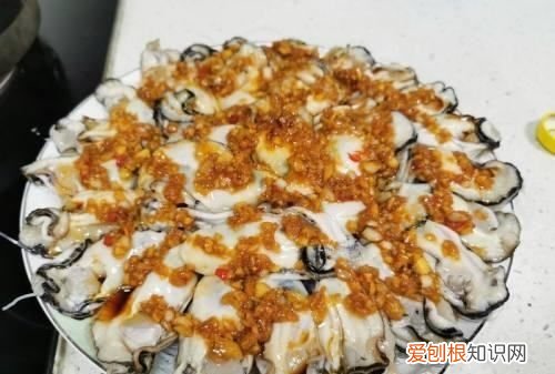 蒜蓉粉丝生蚝做法教程，正宗生蚝粉丝蒜蓉蒸几分钟