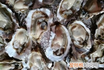 蒜蓉粉丝生蚝做法教程,正宗生蚝粉丝蒜蓉蒸几分钟