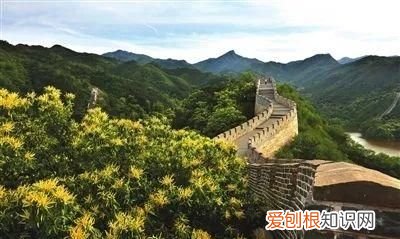 秋天应该是糖炒栗子的味道 北京好吃的糖炒栗子