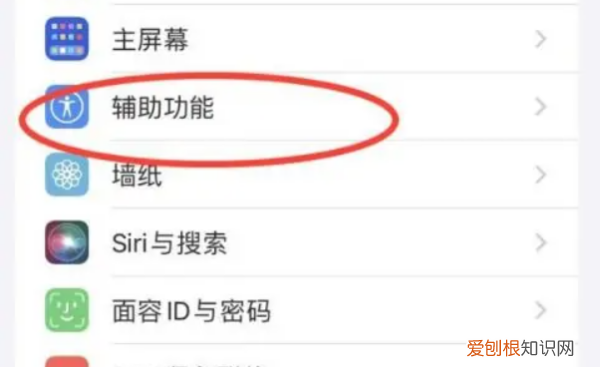 苹果x来信息时的闪光怎么设置，苹果通知闪光灯怎么开了不会闪
