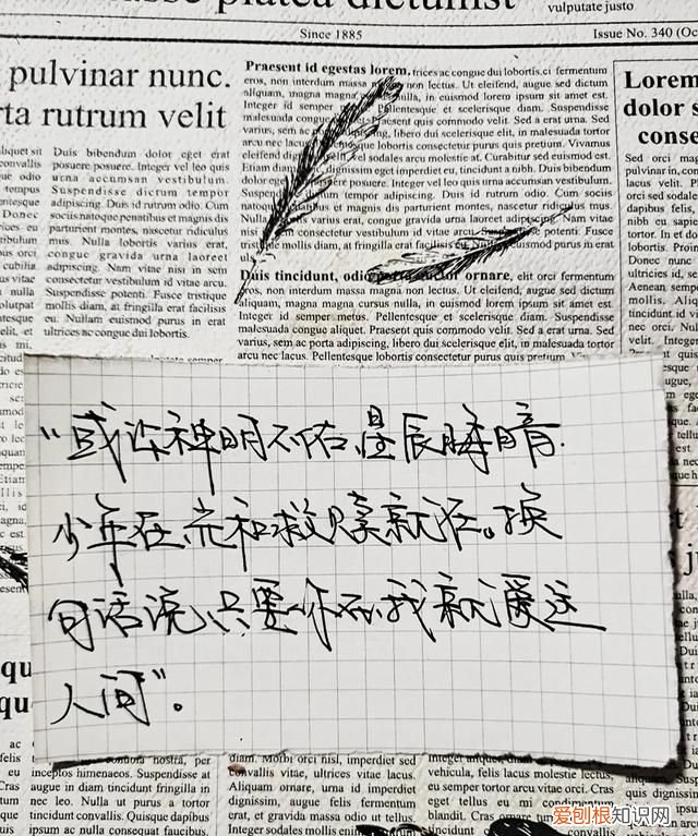 明知不可为而为之是我最大的诚意