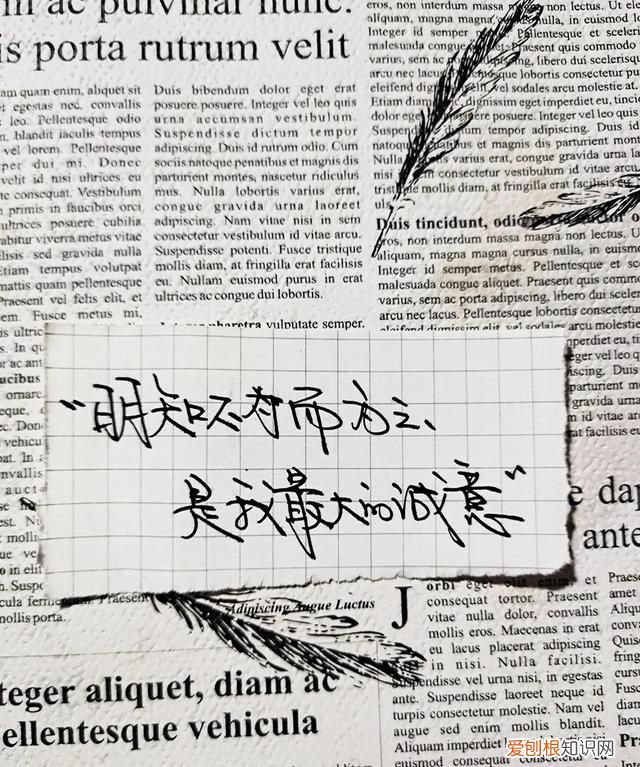 明知不可为而为之是我最大的诚意