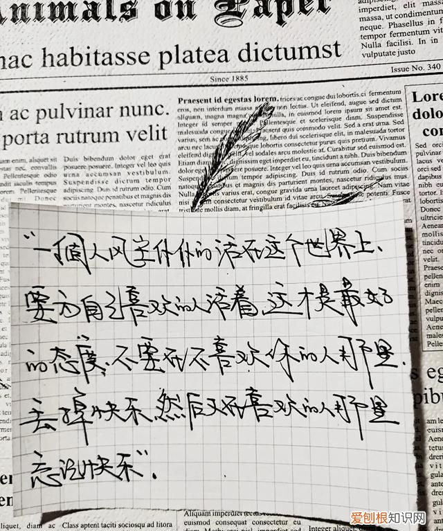 明知不可为而为之是我最大的诚意