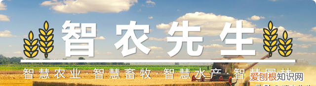 四川气压数字大气压力计厂家电话