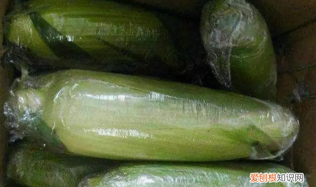玉米怎么保存新鲜可以直接冷冻吗
