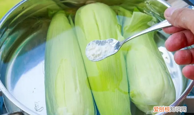 玉米怎么保存新鲜可以直接冷冻吗