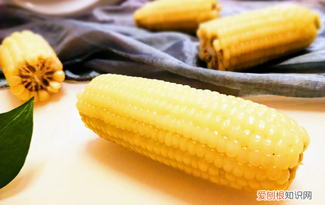 玉米怎么保存新鲜可以直接冷冻吗