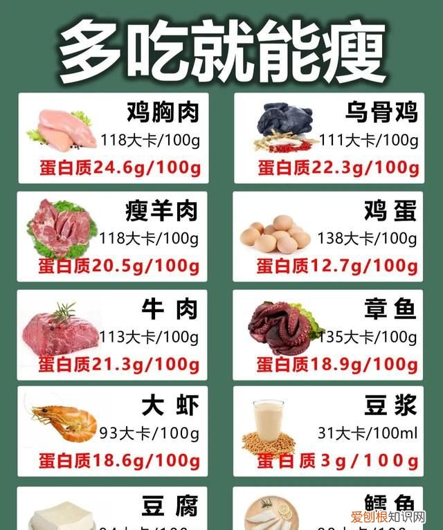 食物热量表减肥专用 食物热量表