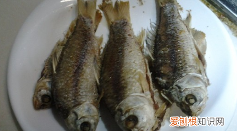 小鱼汤的做法，延边小鱼汤的做法大全