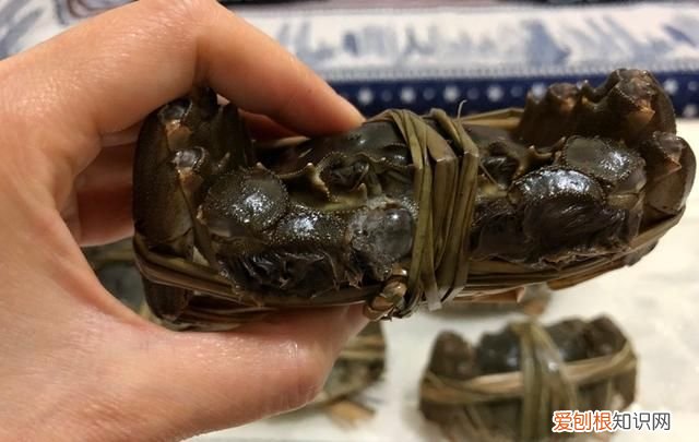 怎样保存螃蟹放一周都是鲜活的
