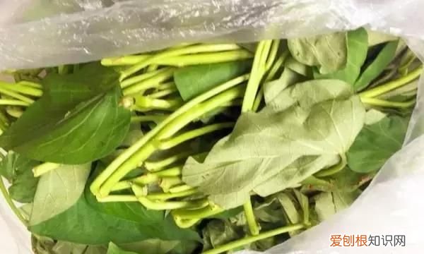 人工种的人参叶子降血糖吗 哪种植物叶子能降血糖