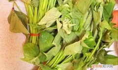 人工种的人参叶子降血糖吗 哪种植物叶子能降血糖