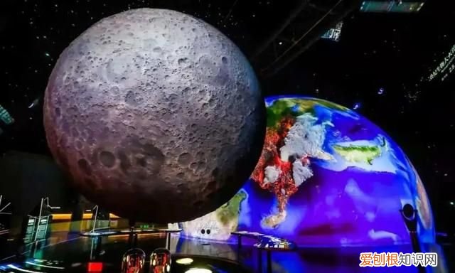 去博物馆看展览