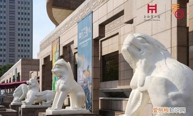 去博物馆看展览