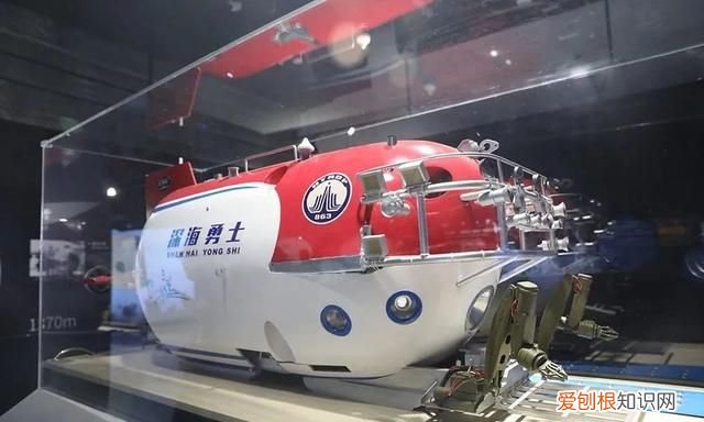 去博物馆看展览