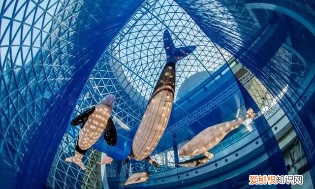 去博物馆看展览