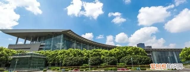 去博物馆看展览