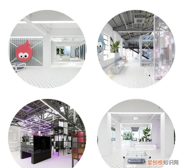 去博物馆看展览