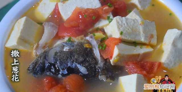 鱼头豆腐汤怎么做好吃又简单教程