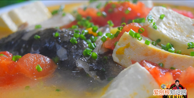 鱼头豆腐汤怎么做好吃又简单教程