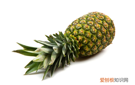 绿菠萝可以吃吗?