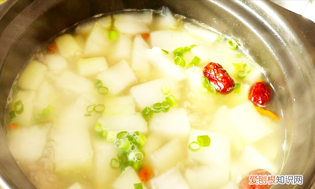 润肺汤的做法与功效