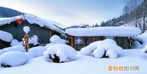 国内游比出国游还贵 国内游是跟团还是自由行