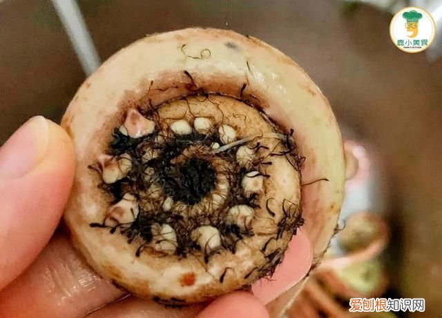 春天山里蕨菜味道脆爽下饭,蕨菜怎么收藏到冬季吃