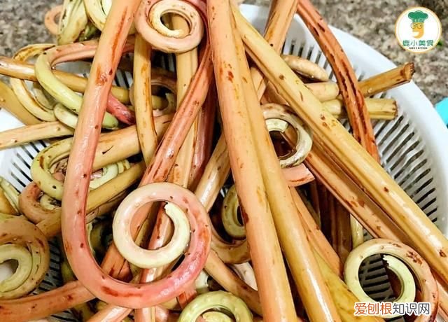 春天山里蕨菜味道脆爽下饭,蕨菜怎么收藏到冬季吃