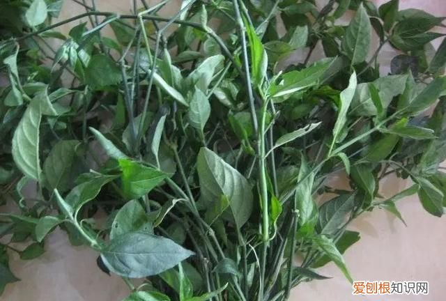 最好吃的五色花米饭 五色花米饭的制作方法