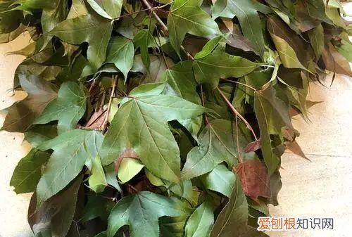 最好吃的五色花米饭 五色花米饭的制作方法