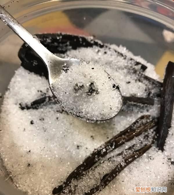 这么名贵的香草怎么食用呢图片,香草怎么食用