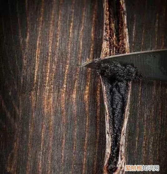 这么名贵的香草怎么食用呢图片,香草怎么食用