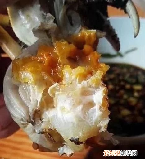 湖蟹和塘蟹有什么区别