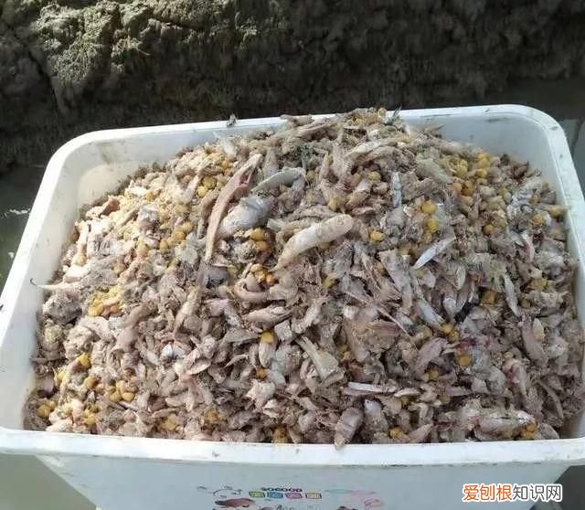 湖蟹和塘蟹有什么区别